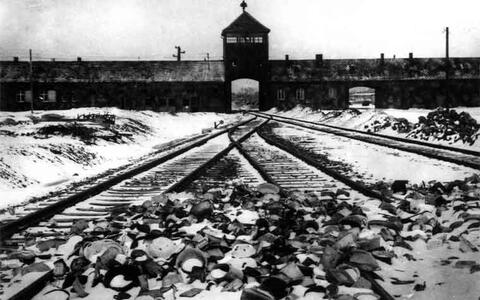 Internationaler Tag des Gedenkens an die Opfer des Holocaust